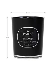 Parks London Duftkerze Black Magic (Weißer Jasmin, Ylang Ylang & Sandelholz) 3 Parks London Duftkerze Black Magic (Weißer Jasmin, Ylang Ylang & Sandelholz) – Bild 3