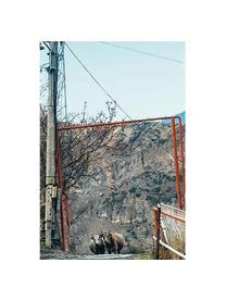 TeNeues Bildband Live From F*cking Everywhere 7 TeNeues Bildband Live From F*cking Everywhere – Bild 7