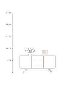 Umbra Bilderrahmen Ripley Aus Geriffeltem Glas 3 Umbra Bilderrahmen Ripley Aus Geriffeltem Glas – Bild 3