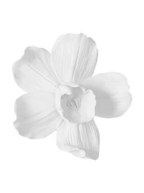 Parks London Shop 8 Jotex Wandobjekt Orchid, Verschiedene Größen